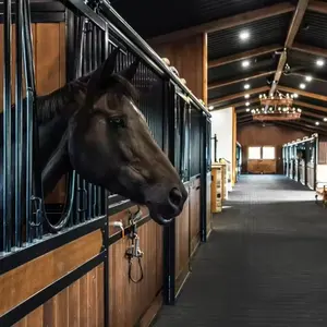 Equestrian barns european style fancy horse stable equipments for sale