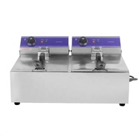 Friteuse électrique double 3 kW avec réservoir de 10 L en acier inoxydable, plaque chauffante électrique commerciale en promotion