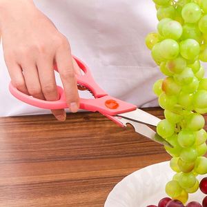 Ciseaux de cuisine bicolores professionnels 8.9 pouces poignée ABS en acier inoxydable pour voyage en plein air Camping bureau Restaurant utilisation - Product Image 2