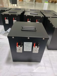 Meilleures ventes aux États-Unis : Batterie pour pédicab 2,5 kW avec boîtier métallique, rechargeable, 48 V 51,2 V 50 Ah, modèle DL-4850 48 V 50 Ah - Product Image 4