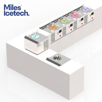 Miles Nsf Goedgekeurd 1 Tub Karnen Gelato-Ijs Machine Volautomatisch Maken Vers Fruit Notenijs Nsf Ce Goedgekeurd
