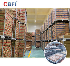 Büyük Lojistik Soğuk Hava Deposu Yürüme Tipi Soğutma Ekipmanları Soğuk Oda Depolama Soğutma Kondenser Ünitesi Soğuk Oda - Product Image 2