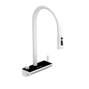Black Brass Digital Display 360 Degree Swived Spout Kitchen Faucet With Pull Down Sprayer Kitchen Sink Waterfall Faucet Pull Out