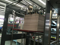 Machine à Laminer les Cartons Ondulés Électrique Automatique à Haute Performance avec Emballage en Film et en Plastique