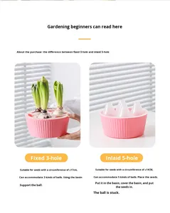 P372 Pot <span class=keywords><strong>de</strong></span> fleurs hydroponique moderne et simple à cinq trous en plastique pour bulbes <span class=keywords><strong>de</strong></span> tulipes, idéal pour les personnes paresseuses, spécial pour les graines <span class=keywords><strong>de</strong></span> jacinthe et <span class=keywords><strong>de</strong></span> narcisse - Product Image 3