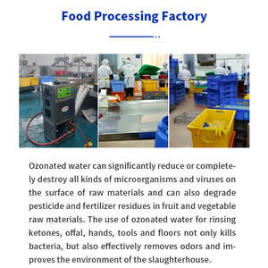 Qlozone procesamiento de frutas vegetales sistema de tratamiento de agua de ozono maquinaria purificador de agua industrial generador de ozono para agua - Product Image 4