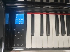 <span class=keywords><strong>Piano</strong></span> Vertical <span class=keywords><strong>con</strong></span> Control Táctil Iluminado, <span class=keywords><strong>Piano</strong></span> Digital de 88 <span class=keywords><strong>Teclas</strong></span>, <span class=keywords><strong>Piano</strong></span> Digital Chino <span class=keywords><strong>con</strong></span> <span class=keywords><strong>Teclas</strong></span> de Acción de Martillo Progresivo - Product Image 5