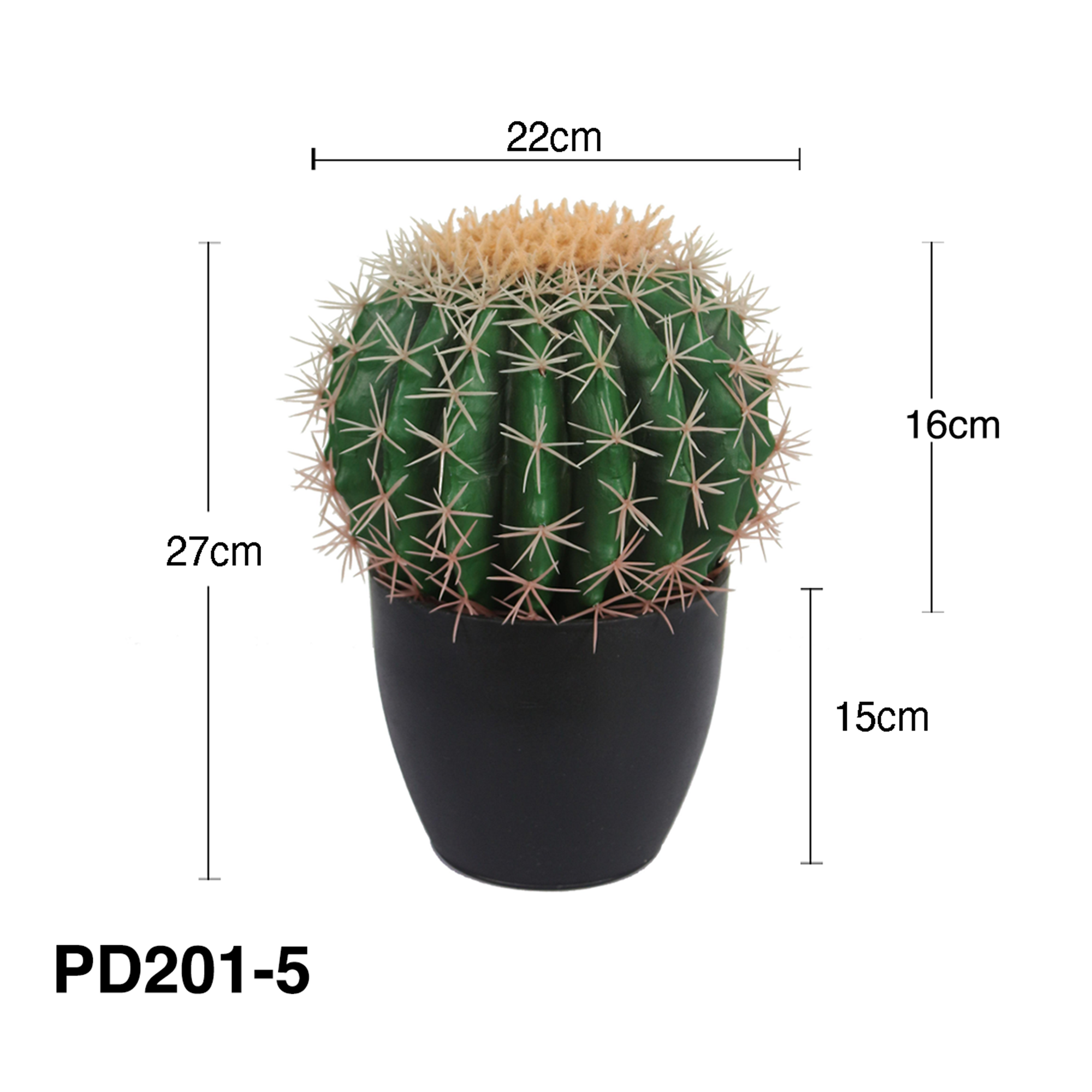 Red horned cactus-22cm