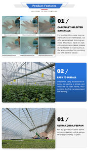 Goedkope Tomaat Multi- Span Multi-Tunnels Agrarische Groenhuis Metalen Landbouwkas - Product Image 6