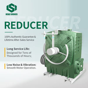 Machine à fabriquer des barquettes à œufs en <span class=keywords><strong>paille</strong></span> WONGS WS 6-8 6500-7500 pièces/heure, utilisation des déchets agricoles, matériau écologique, production durable - Product Image 2