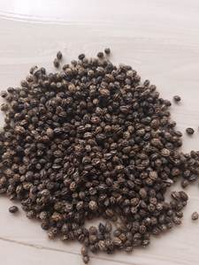 2025ดอกบัวสีน้ำเงินแบบพรีเมี่ยมเมล็ดมะละกอแห้งสมุนไพรธรรมชาติทำความสะอาดเพิ่มภูมิคุ้มกันในการย่อยอาหารเพิ่มสุขภาพผิว - Product Image 4