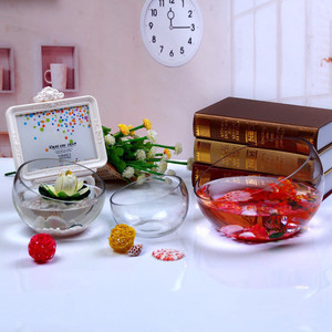 Modern Simple Oblique Mouth Transparent Round Ball Glass Vase Hydroponic Succulent Plant <strong>Pot</strong> <strong>Fish</strong> tank - Product Image 3