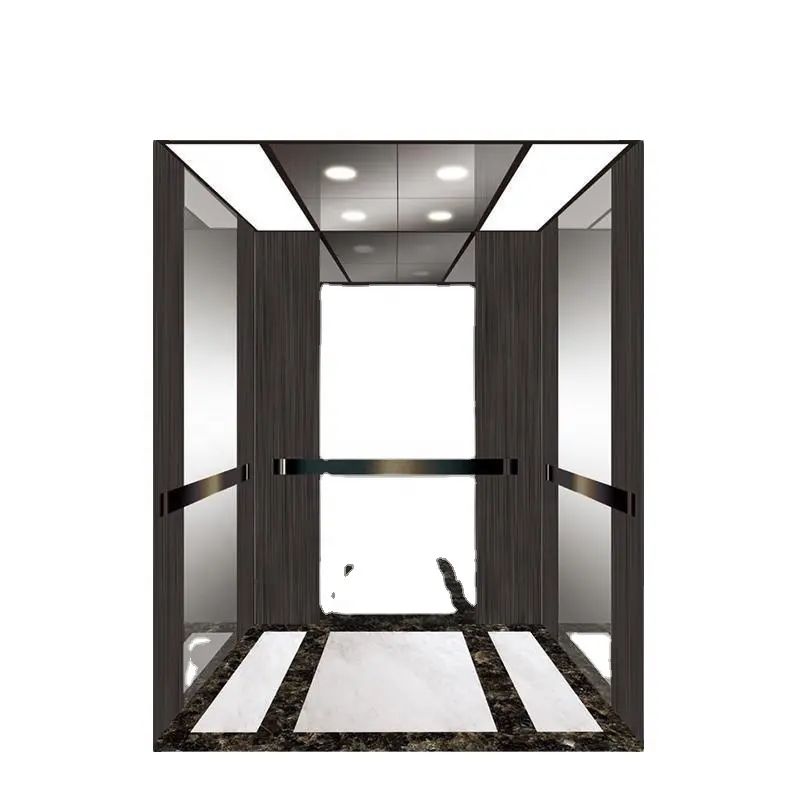 Fuji Hoge Kwaliteit Home Lift Kits Compleet Alles Eenvoudig Te Installeren Met Een Laag Geluidsniveau Met Elegante Decoratie
