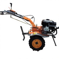 Motoculteur à essence 1050 mm de largeur avec boîte de vitesses 2,5 L pour le désherbage des vergers, 7 CV, pour exploitation agricole moyenne, Vietnam, Philippines