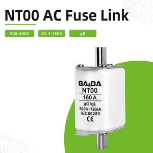Fusibile GADA HRC NT00 NH00 ad Alta Capacità di Interruzione 120kA 500VAC con Certificazione CE - Product Image 3