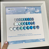 ZRKGEL Échantillon Gratuit Créez Votre Marque Formule Professionnelle de Salon Sans TPO ni HEMA Kit de Vernis Gel Magnétique Bleu Soak-Off
