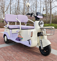Kit Tricycle Électrique Classique Populaire à Sièges, Tricycle Passager Électrique Ouvert Complet, Moteur Brushless 650W-1000W, 50-70Km/h