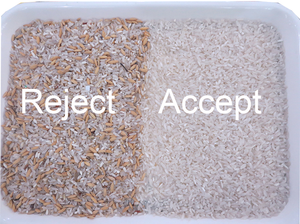 Nuovo sistema 5 Chute risaia smistatore di colore per la raccolta di impurità scarta riso cattivo facile da usare - Product Image 6