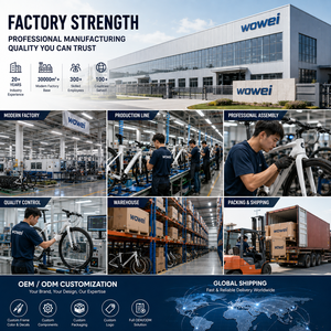 ดิสก์เบรกแบบ Thru Axle - จักรยานแข่งแบบ 24 สปีด สำหรับการปั่นจักรยานเพื่อการแข่งขันและการฝึกไตรกีฬา ผลิตจากคาร์บอน T700 น้ำหนักเบา - Product Image 6