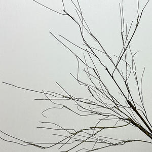 Branches et <span class=keywords><strong>vrilles</strong></span> <span class=keywords><strong>de</strong></span> vignes séchées simulées à des fins décoratives, y compris <span class=keywords><strong>de</strong></span> grandes branches <span class=keywords><strong>de</strong></span> corail, plantes grimpantes d'intérieur - Product Image 2