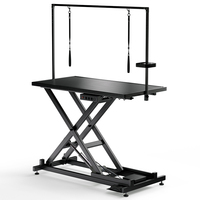 Table de toilettage vétérinaire électrique à LED pour animaux de compagnie, table de toilettage pour chiens avec fonction de levage, caractéristiques de nettoyage pour les outils de toilettage des animaux de compagnie