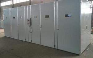 Incubateur automatique pour 3000 œufs, destiné aux grandes exploitations avicoles - Product Image 5