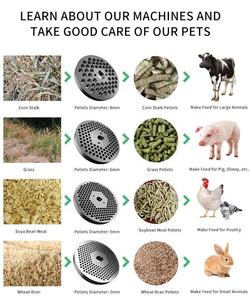 Small Poultry Feed Machines Factory Corn <b>Grinder</b> Feed Processing Machines 50-100kg/hpellet Molding Machine - Product Image 6