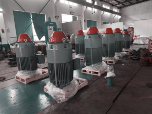 Động Cơ Xoay Chiều VHS Ba Pha <span class=keywords><strong>TEFC</strong></span> Điện Áp Cao, Động Cơ Trục Rỗng Đứng 100KW, 200KW, 300KW, 400KW, 500KW IP54 IP55 Với NEMA - Product Image 2