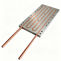 Plaque de refroidissement liquide personnalisée 125*250*12mm avec tubes en cuivre OD8 plaque de refroidissement par eau dissipateur thermique à plaque froide en aluminium