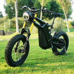 20Inch <b>Fat</b> Tire <b>Ebike</b> <b>Frame</b> with Light 1000W Carbon Fiber Basic Version 48V 20Ah Lithium Battery Dirt Bike for Adults - Product Image 4