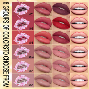Kits à lèvres personnalisés 3 en 1 OEM avec crayon à lèvres, rouge à lèvres et gloss, crayon à lèvres crémeux vegan anti-transfert - Product Image 5
