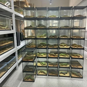 Terrario de Vidrio Transparente Pequeño, de Doble Puerta con Apertura Frontal, Lujoso, Simple, Moderno, Ecológico y Duradero, para Reptiles - Product Image 5
