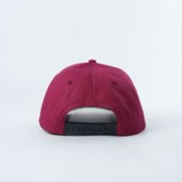 Casquettes de golf personnalisées à 5 panneaux avec logo brodé, OEM ODM, usine de gorras, casquettes de baseball en coton pour hommes