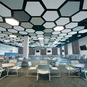 Qinsound esagonale sospeso pannello in fibra di vetro eco-friendly <span class=keywords><strong>pannelli</strong></span> del <span class=keywords><strong>soffitto</strong></span> a goccia deflettori per sala banchetti Auditorium - Product Image 1