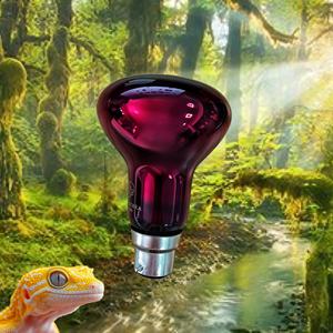 הסמכה איכות אמין 60w b22 220-240w זוחל אדום אור נורה אור חום דו-חיים, חסרי חוליות - Product Image 2