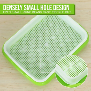 Large Capacity Healthy Breathable <strong>Seed</strong> Sprouter Tray Soilless Culture Tray for Vegetables and <strong>Wheatgrass</strong> <strong>Seeds</strong> Made of Plastic - Product Image 2