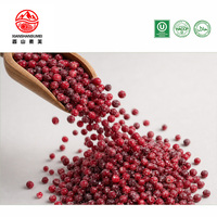 Cranberries entières surgelées IQF pour smoothies, cocktails, sauces, confitures, fruits de la mer des canaris, boîte de 10 kg, approvisionnement en gros