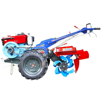 Tracteur à chenilles à deux roues motrices 10HP 12HP 15 HP 18hp 20HP Diesel Micro-cultivateur Mini-tracteur agricole