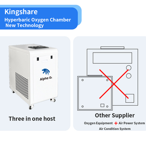 Chambre hyperbare à oxygène pour deux personnes assises, machine de thérapie HBOT, design et couleur personnalisés - Product Image 5
