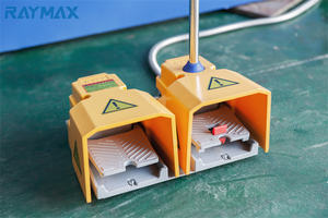 RAYMAX CNC Vollautomatische Synchronisierte Hydraulische Abkantpresse - Intelligente Servo-Steuerung Biegemaschine - Product Image 6