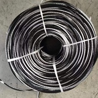Câble ABC Triplex Service Drop 6AWG Paludina Isolé PE avec Fil Neutre ACSR pour le Marché des Philippines