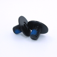 M2 à M8 Vis à tête hexagonale à six pans creux en laiton noir M3.5 M4 avec système de mesure métrique en pouces à filetage bleu
