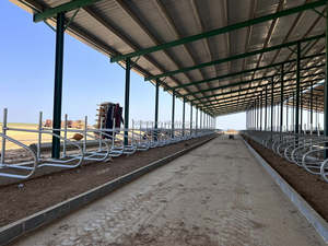 Nieuwe Gegalvaniseerde Melkkoe Boerderij Apparatuur Koe Vrije Kraam Boerderij Apparatuur Gegalvaniseerd Gratis Kraam Zuivelschuren - Product Image 2