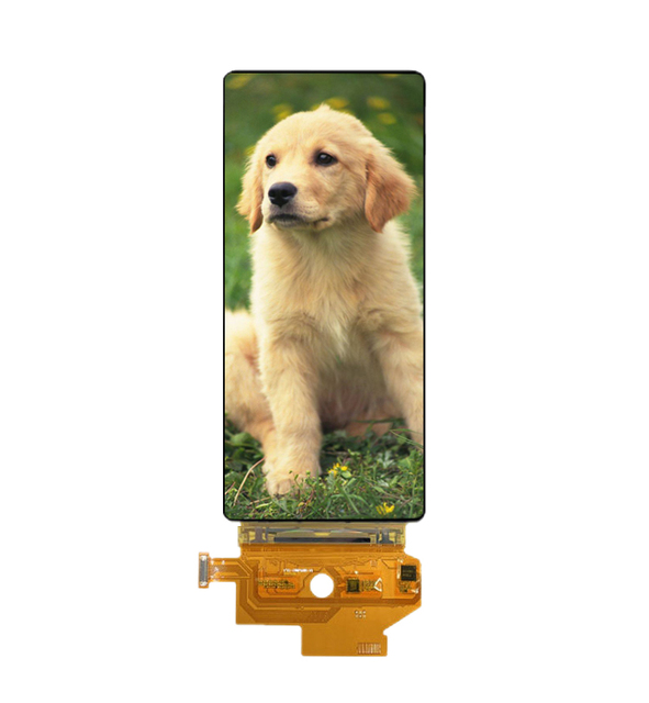 NEW 6.67 Inch 2400*1080 Resolution Flexible OLED Display NT37701 Driver IC Oled Curved Soft Vertical Flexible Display Screen