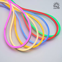 Tira de Luz LED de Silicona de 24V, Impermeable IP67, Resistente, para Exteriores, Paisajes, Longitud Personalizada