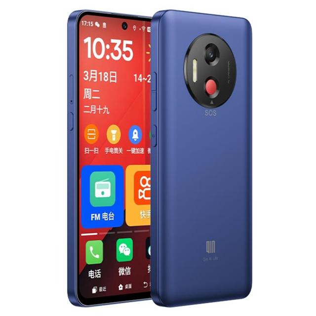 QIN L1 Global Elderly Smartphone 6GB+128GB 6.67 inch Android Mobile Phone, Support Google Play