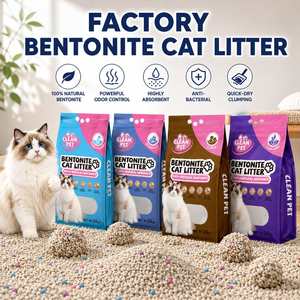 Sable sanitaire en vrac pour chats, litière à base de bentonite, agglomération rapide, faible teneur en poussière, pour les distributeurs en gros - Product Image 1