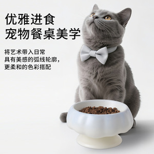 Bol en céramique dégradé pour chat, grand diamètre, anti-renversement, surélevé, antidérapant pour chats - Product Image 2