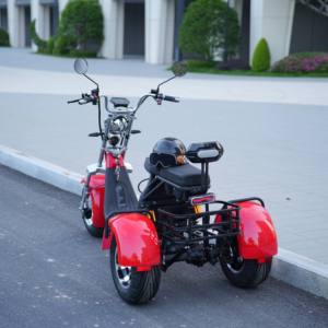 Triciclo Eléctrico sin Escobillas de 2000W, Batería de Litio, Marco de Aleación de Aluminio, Frenos de Disco Hidráulicos, Alcance de 60 Millas, Velocidad de 50 km/h - Product Image 2