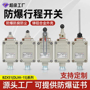 Bzx51 5z L N T Limit Switch Cast Aluminum Alloy Roller Explosion Proof Travel Switch Dlxk5 Series - Product Image 5